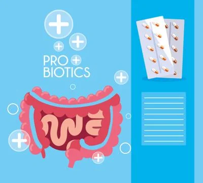 Digestive system with probiotics medicines Stock Illustration