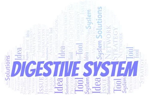 Digestive System typography vector word cloud. Stock Illustration
