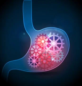 Digestive system working concept Illustrazione stock