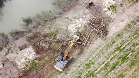 Digger cleans river embankment from tree trunks and branches Видео 154309093