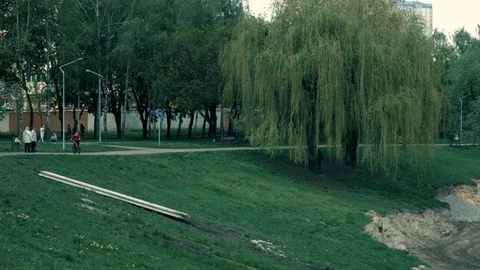 Digger digs a lake in a park Stock Footage 129825979