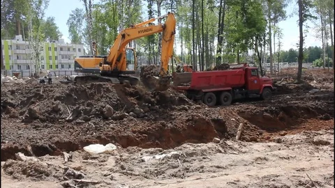 Digger loads the earth on the machine Vídeo Stock 77112726