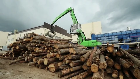 Digger unloads the timber to an external warehouse Stock Footage 72715402