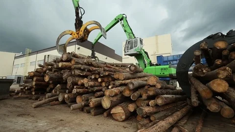 Digger unloads timber Stock Footage 72715362