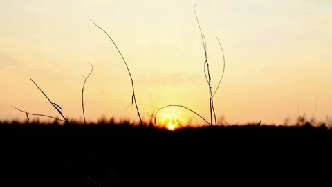 Digger walks across the field at sunset Stock Footage 120514656