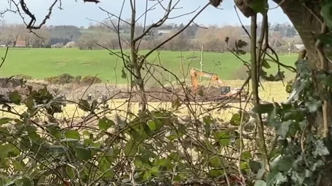 Diggers search in Wicklow over Jo Jo Dullard and Deirdre Jacob murders Video stock 329054950