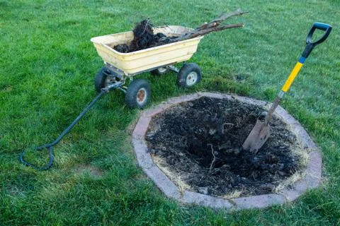 Digging up and removing a dead tree in a garden Stock Photos