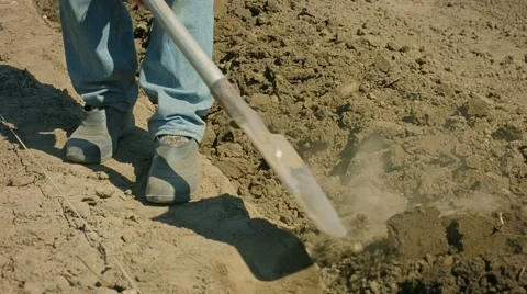 Digging of arable land with a shovel - the old way Stock Footage 41846696