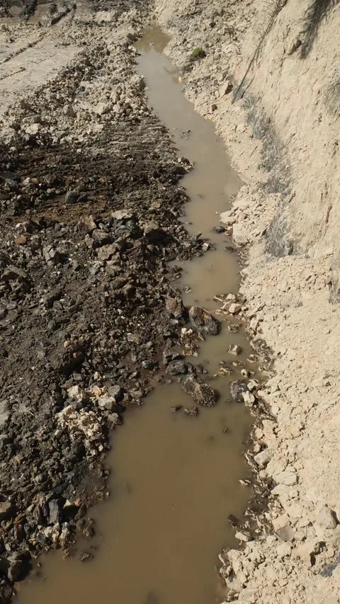 Digging clay Video stock 208302742