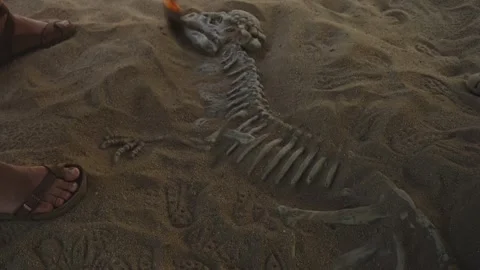 Digging for dinosaur fossils. Stock Footage 281584639