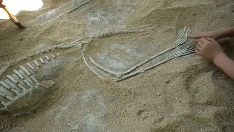 Digging for dinosaur fossils. Stock Footage 281585792
