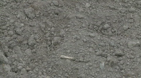 Digging dirt Stock Footage
