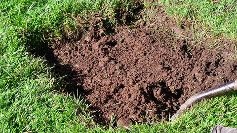 Digging dirt Stock Footage 255297570