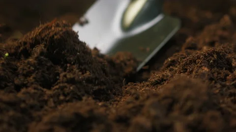 Digging dry ground with shovel close-up, earthwork in farm, preparing organic Stock Footage 157074910