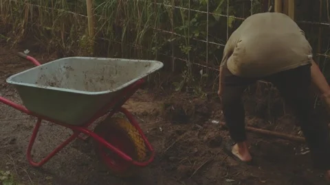 Digging the earth, transporting the earth, transporting the earth 動画素材 341164470