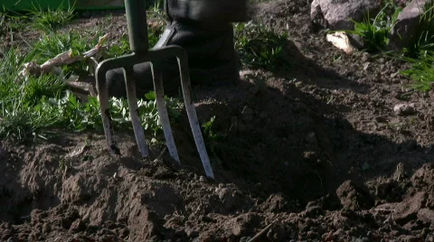 Digging  Stock Footage 376740