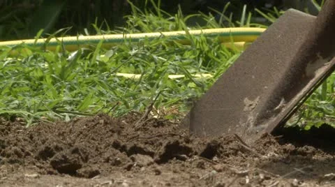 Digging in the Garden Stock Footage 22384852