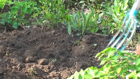 Digging the garden Stock Footage 85688223