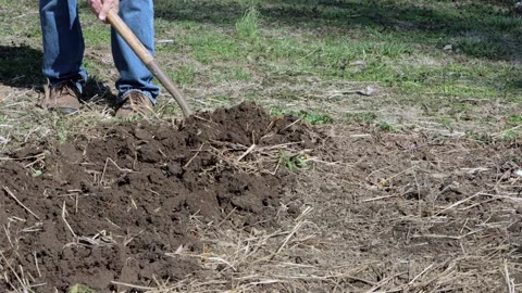 Digging up for a Garden with a shovel - 4K Stock-Footage 267440842