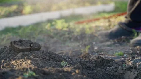 Digging garden soil with shovel in slow motion close-up Stock-Footage 342736121
