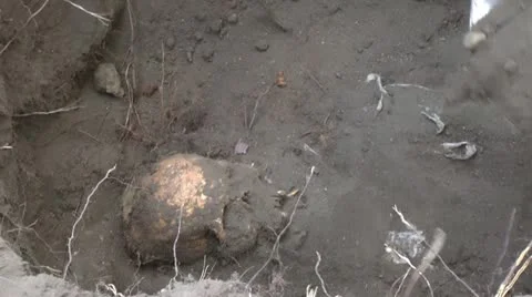 Digging up a grave Stock Footage 22325954