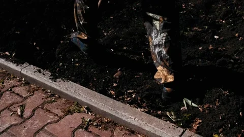 Digging ground with a shovel close-up Stock Footage 132231400