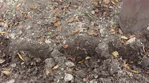Digging ground with a shovel Stock Footage 44272740