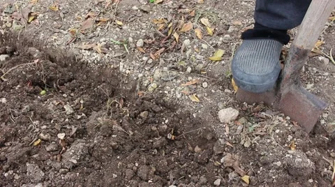 Digging ground with a shovel Video stock 44272848
