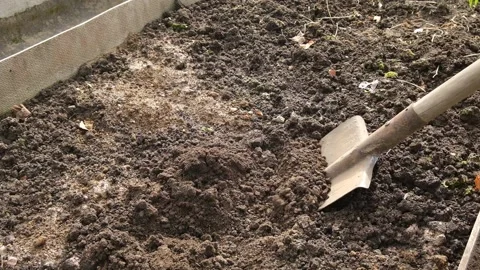 Digging the ground with a shovel. Stock Footage 173504910