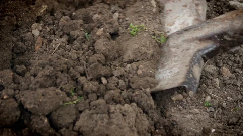 Digging hard earth with a shovel Stock Footage 118797152