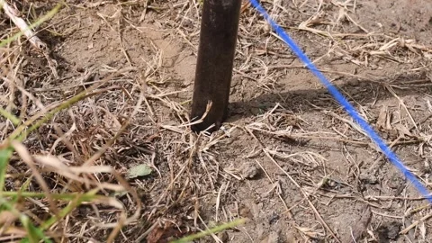 Digging a Hole in Dry Soil, Excavation in Arid Ground, Manual Labor in Hard Stock Footage 300897100
