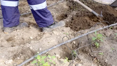 Digging a hole with a hoe Stock-Footage 273773303