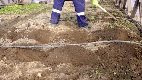 Digging a hole with a hoe Stock-Footage 273773351