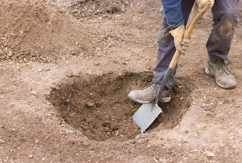 Digging a hole ready to plant a tree, UK garden Stock Photos