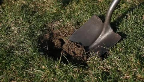Digging hole with shovel Stock Footage