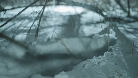 Digging Hole in Snow with Ice Pick featuring person winter forest outdoor 動画素材 347082683