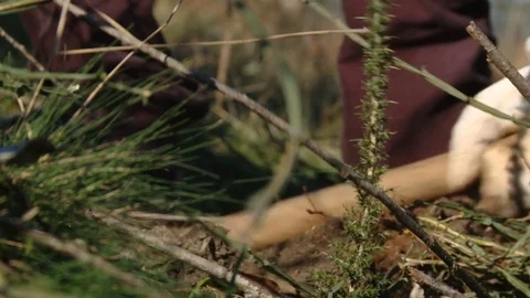 Digging into natures soil 스톡 동영상 76396011