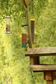 Digging in to nuts at a bird feeder Stock Photos