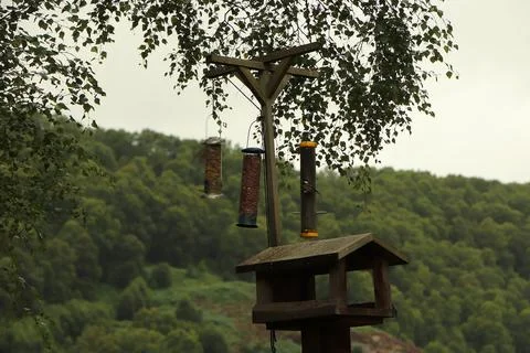Digging in to nuts at a bird feeder Stock Photos