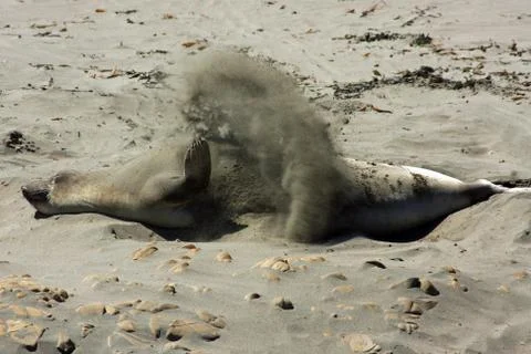 Digging in Stock Photos