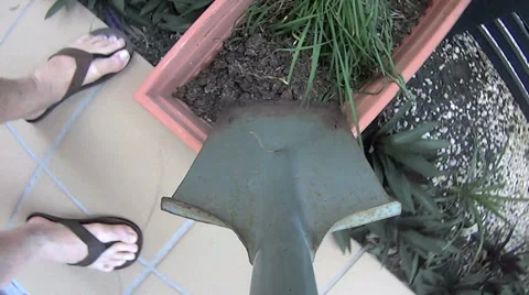 Digging Planter Pot From POV Stock Footage 37083120