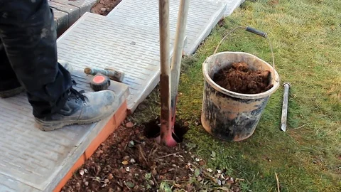 Digging a post hole Stock Footage 85722752