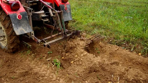 Digging potatoes Stock Footage 30460321
