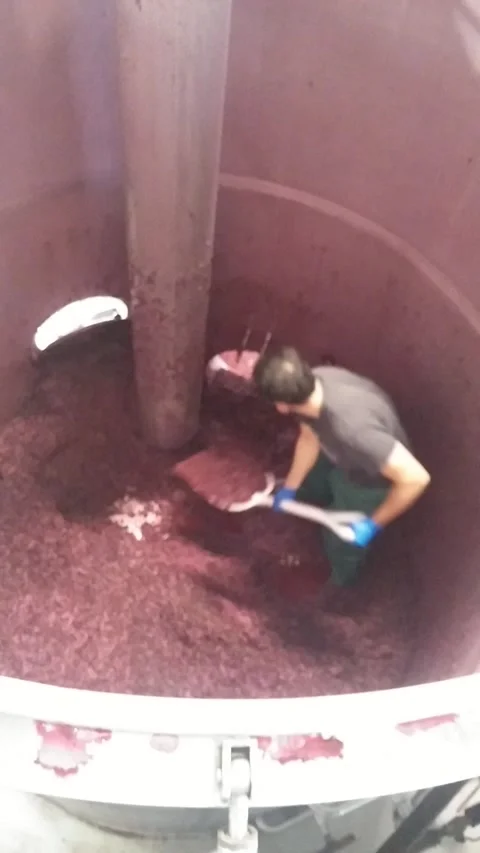 Digging up red pomace for press Stock Footage 155209907