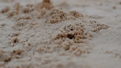 Digging sand. Soft sand falls of the bottom. Close up. Stock Footage 197672786
