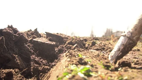 Digging Shovel Earth, Soil Processes, Slow Motion Stock Footage