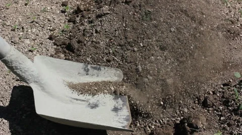 Digging with a shovel Stock Footage 23232681