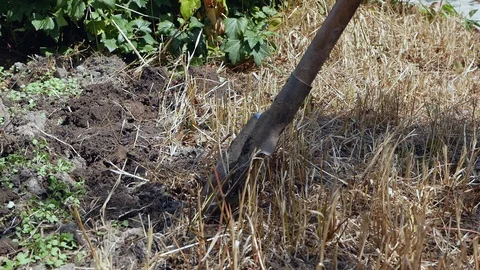 Digging a shovel ground in sneakers Stock Footage 112975561