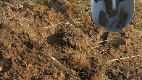 Digging shovel soil. Stock Footage 71150455