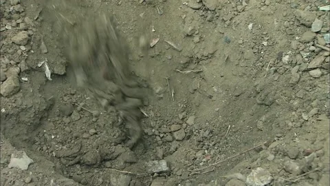 Digging up the soil and digging out the hands Stock Footage 235280274